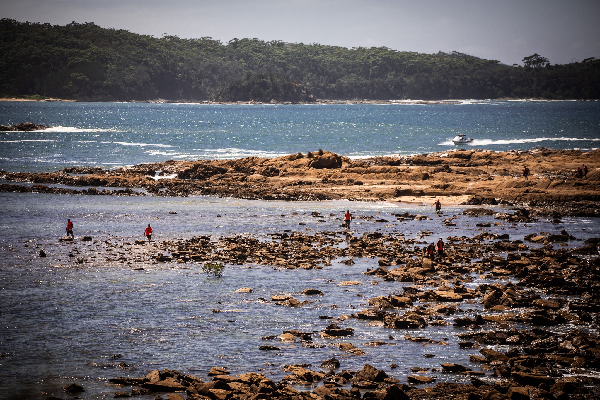 sprint series adventure race batemans bay9